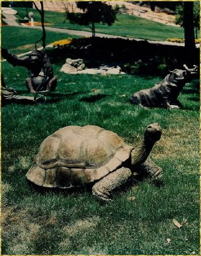 Galapagos Tortoise